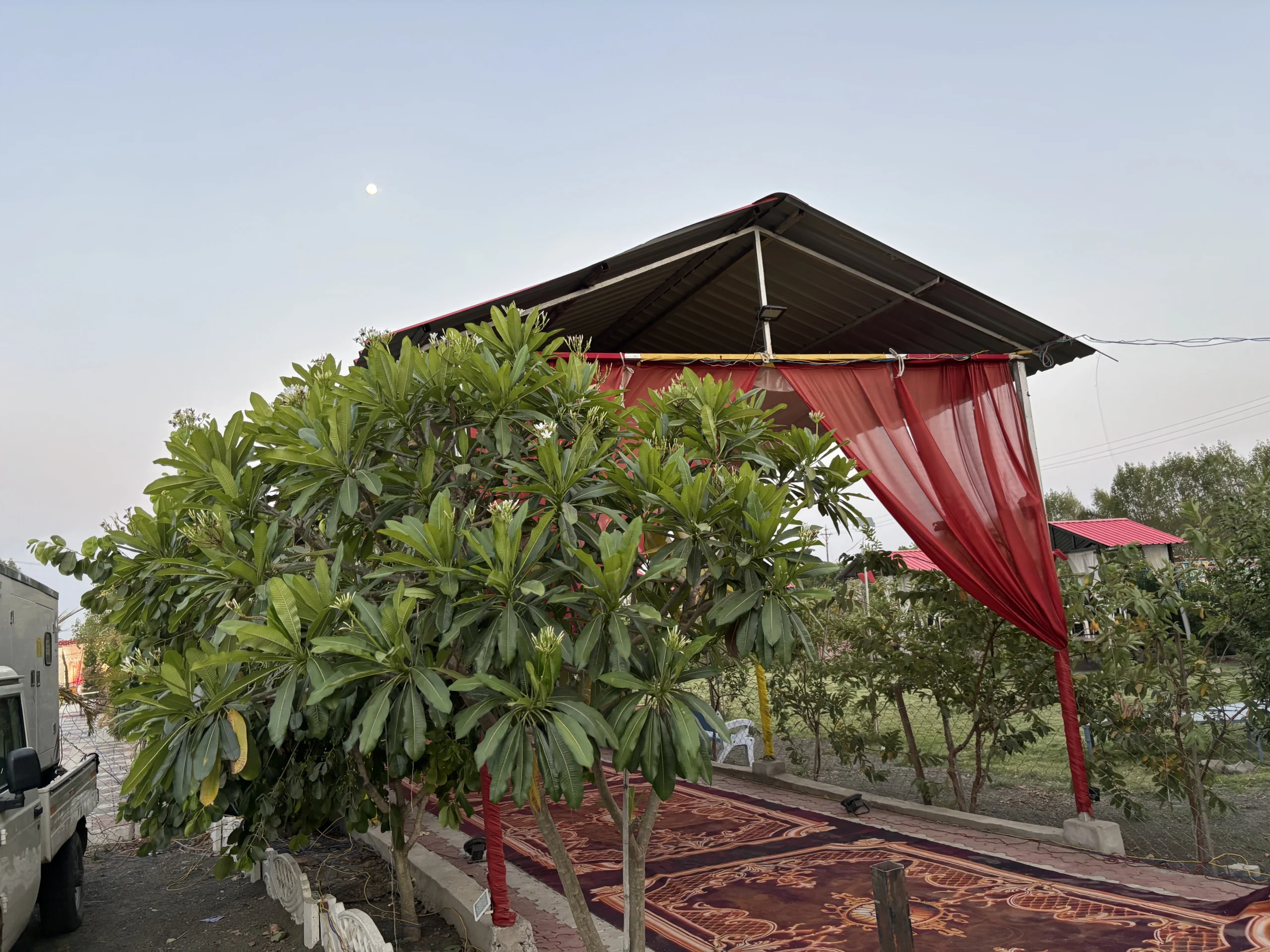 Palm Canopy Walk