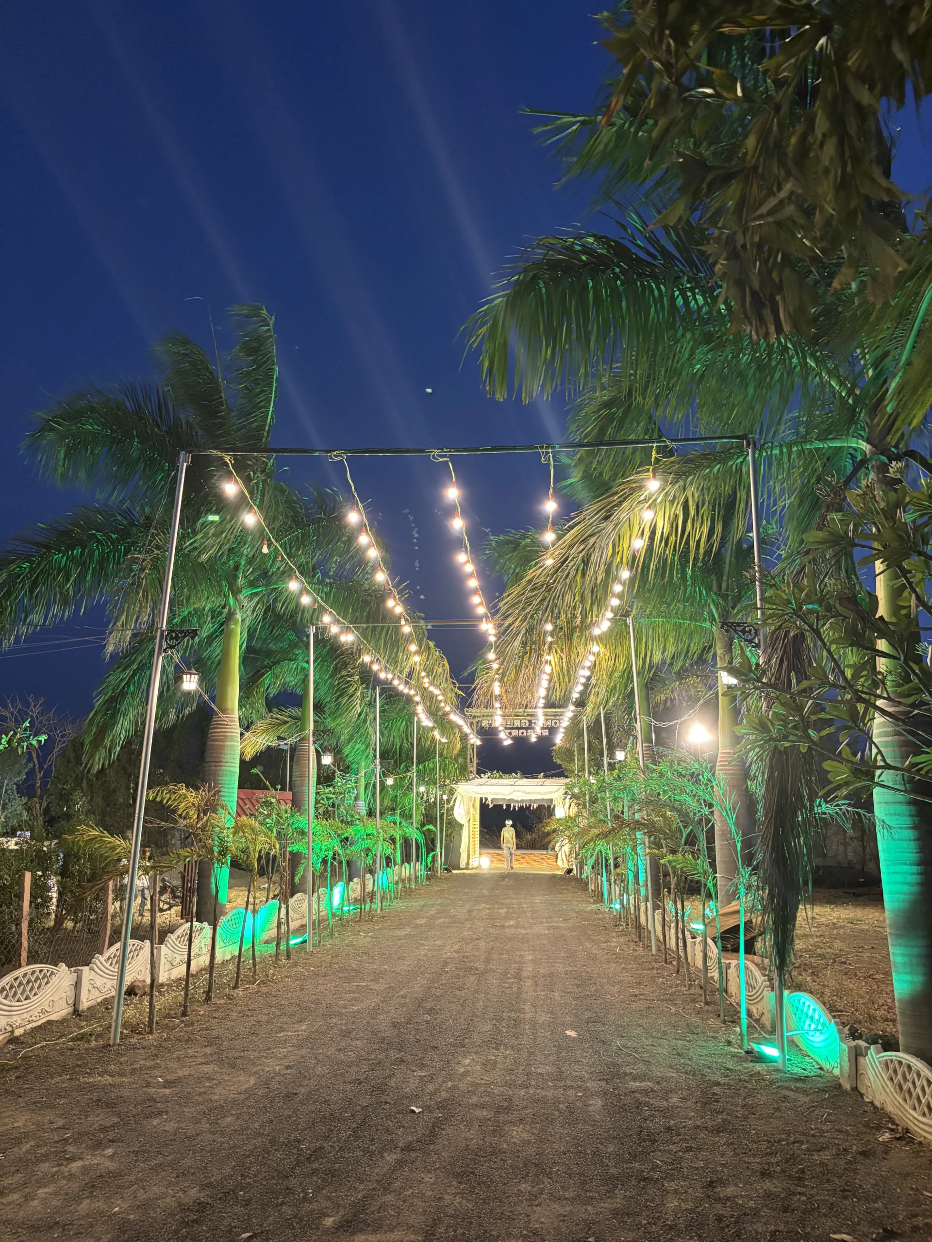 Resort Ambiance & Dining